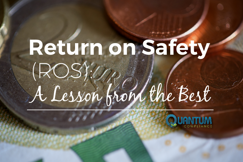 Return on Safety (ROS): A Lesson from the Best
